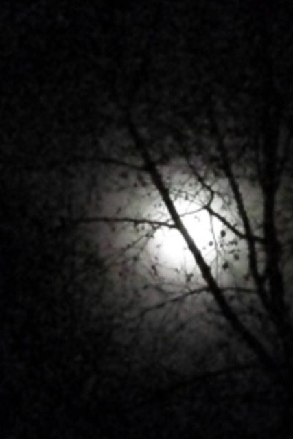 Moonlight Challenge